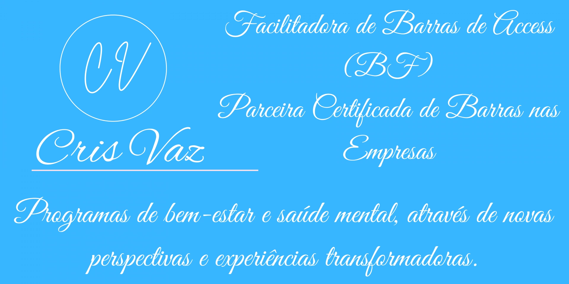 Cris Vaz  Curso Classe de Barras de Access